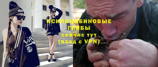 крисы Сосновоборск