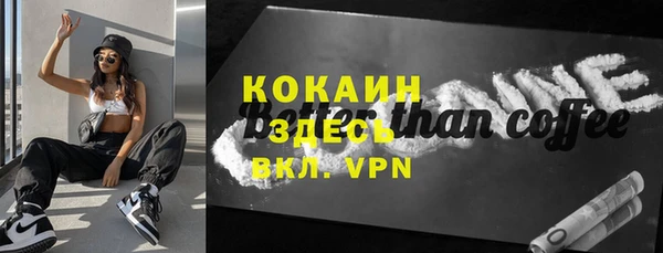 индика Аркадак