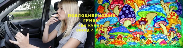 крисы Сосновоборск