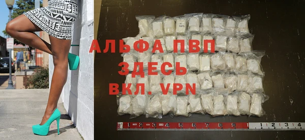 индика Аркадак