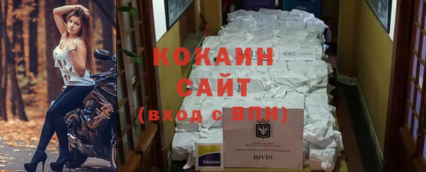 индика Армянск